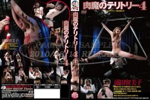 ADV-R0529 尼古玛的领地 4 - 浦田留美子在线观看