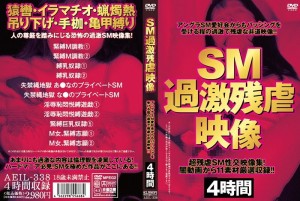 AEIL-338 SM 极端残忍视频在线观看