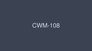 CWM-108 我讨厌老师 花井凛 高宫凉 - 鹰宫りょう在线观看