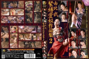 DSE-714 Yui Takeshi 束缚情人作品2 - 如月みゆき在线观看