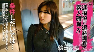 HEYZO-0174 困惑的侦探在后续调查中确保了业余！ ??在线观看