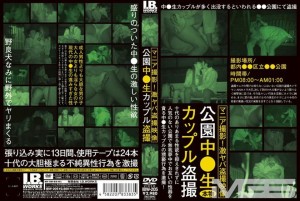 IBW-205 在公园里 ○ 原始夫妇窥淫癖者 - 南あおい在线观看