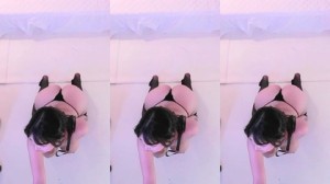 KBJ-25012847 kbj25012847_hidana_20241205 - Hidana在线观看