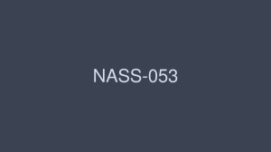 NASS-053 顺从的家庭主妇，被羞辱、惩罚、训练的家庭主妇。 - 七瀬ゆい在线观看