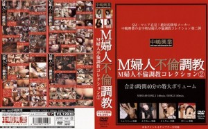 NHSD-009 M女外遇酷刑合集2在线观看