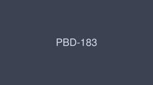 PBD-183 BEST OF PREMIUM 2012 6 碟 88 标题 24 小时 - KAORI在线观看