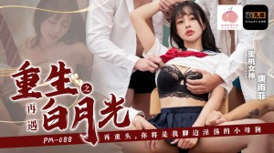 PM088 重生之再遇白月光 / 再重生 你将是我脚边淫荡的小母狗在线观看