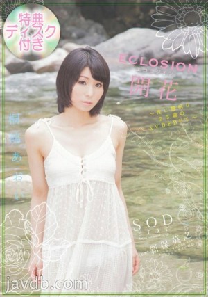 STAR-0392 [数量有限] ECLOSION开花-性胆小的23岁AV DEBUT-Aoi Kirishima附赠唱片 - 桐嶋あおい在线观看