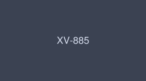 XV-885 “我要退休了……” ] 伊藤遥将庆祝 - 伊东遥在线观看